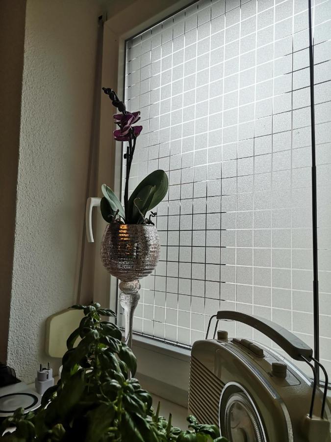 Appartement Ambiente Radolfzell am Bodensee